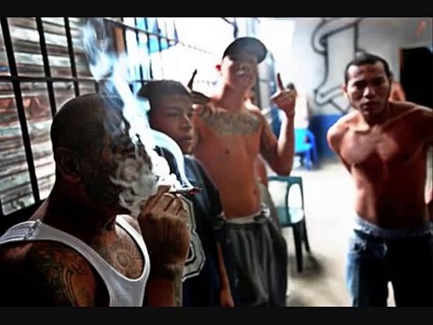 mata zetas apoyo total