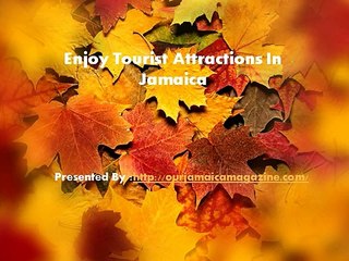 Enjoy Tourist Attractions In Jamaica