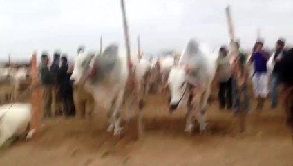 Block 13 Sibbi Bhagnaari Cow Mandi Karachi - Video Dailymotion 2015