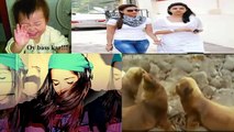 Latest Punjabi Totay  Pakistani Very Funny Video clips