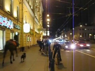 Пёс и лошадь опаздывают на поезд