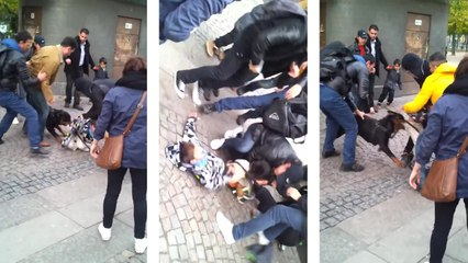 Un Rottweiler attaque un petit garçon dans la rue en Suède