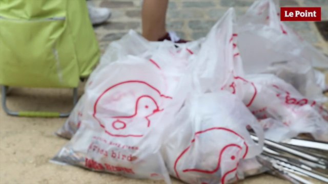 Quand les Japonais nettoient les parcs parisiens