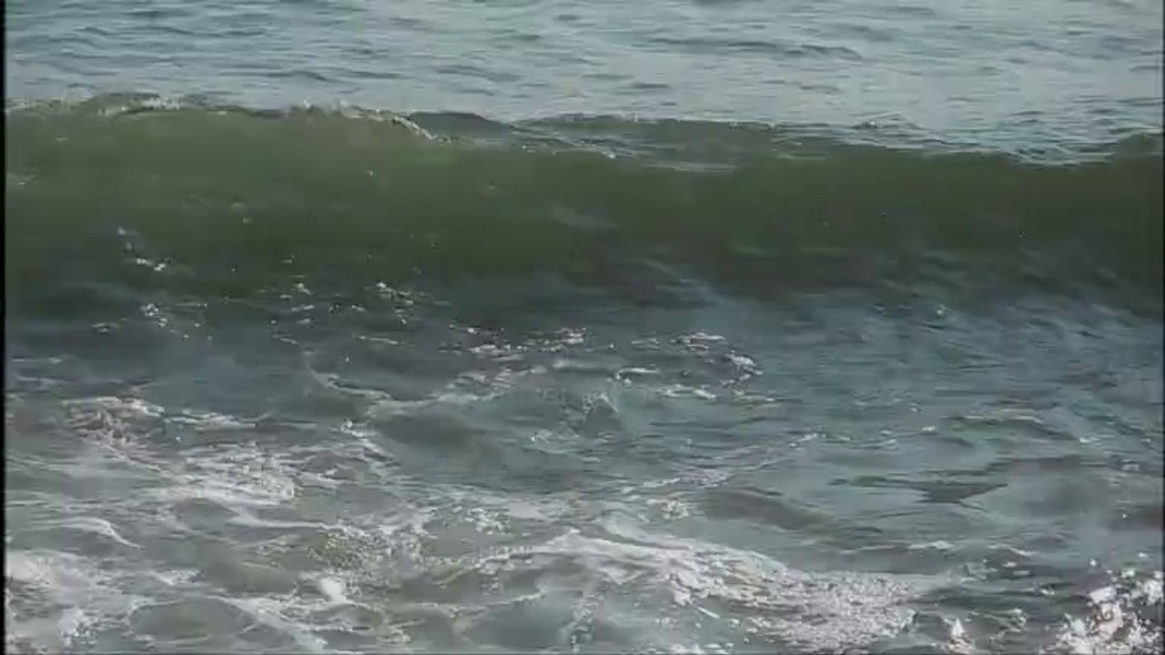 Biarritz Grande plage Surf grosses vagues – Côte Basque