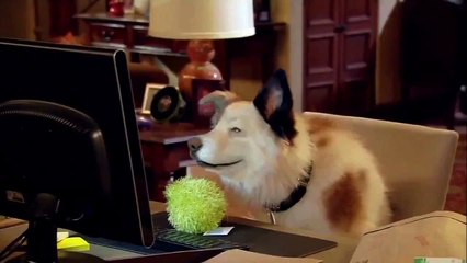 Abertura Stan, o Cão blogueiro (Disney Dog With A Blog)