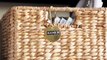 Decorating with Baskets: Storage Basket Tips with Brian Andriola | Pottery Barn