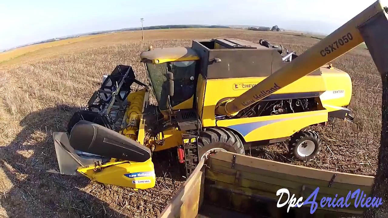 Tournesol - Moisson 2013 - Beaumont