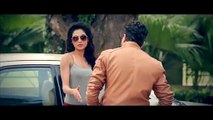 punjabiyan da nawa tashan video