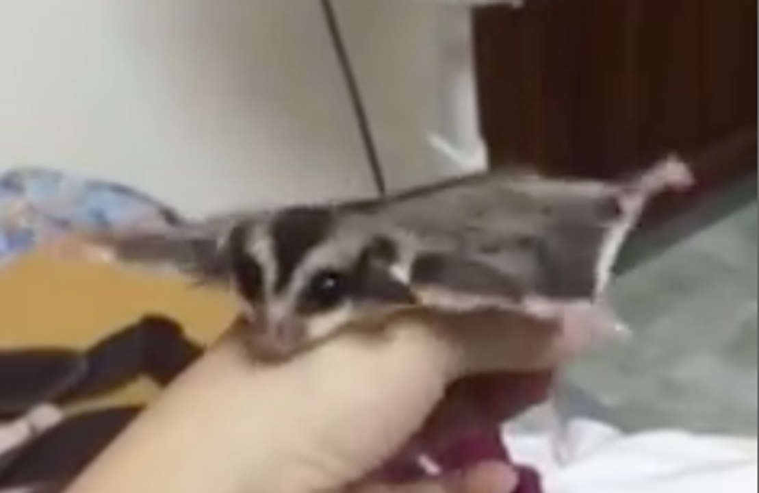 I believe I can fly...