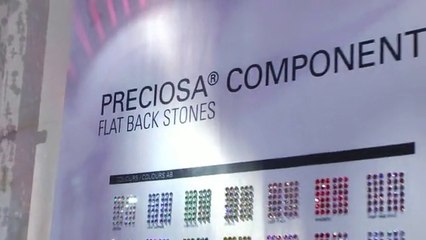 PRECIOSA Dragon Ball - USA