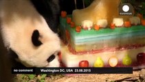 Bao Bao's birthday bash