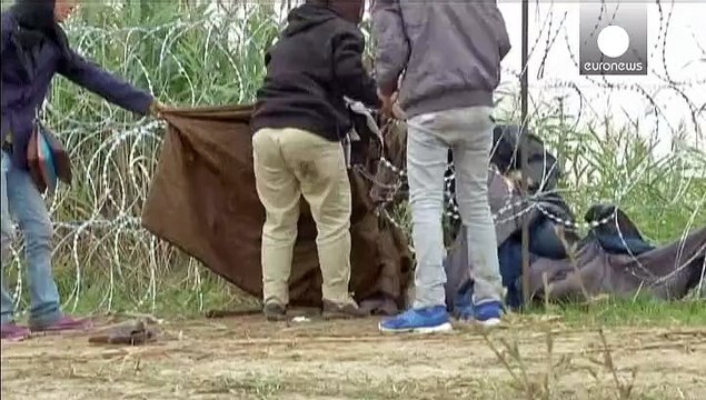 Serbien/Ungarn: Immer mehr Flüchtlinge kommen über grüne Grenze