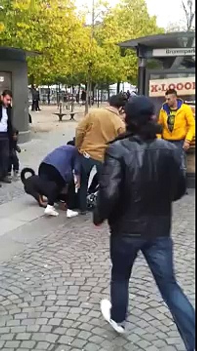 Un Rottweiler Refuse de Lâcher sa Prise sur cet Enfant