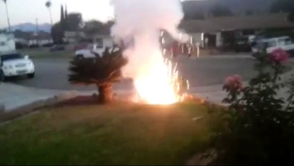 Fourth of July firework accident