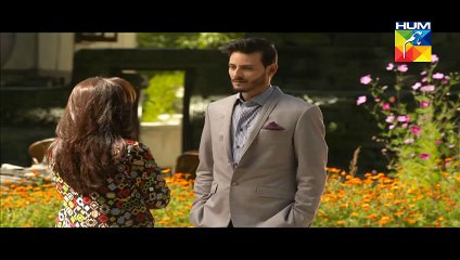 Dayar e Dil Episode 24 Full on Hum Tv - Video Dailymotion