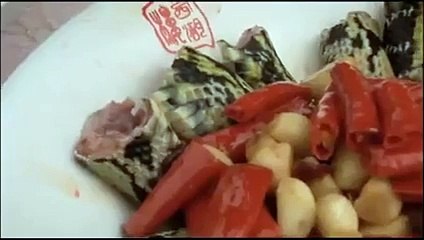 Snake cooking Contest in China