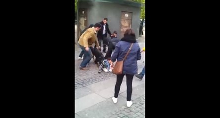 Suède : un chien attaque un enfant