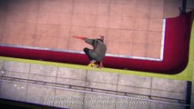 Tony Hawk’s Pro Skate 5 - Les skateurs