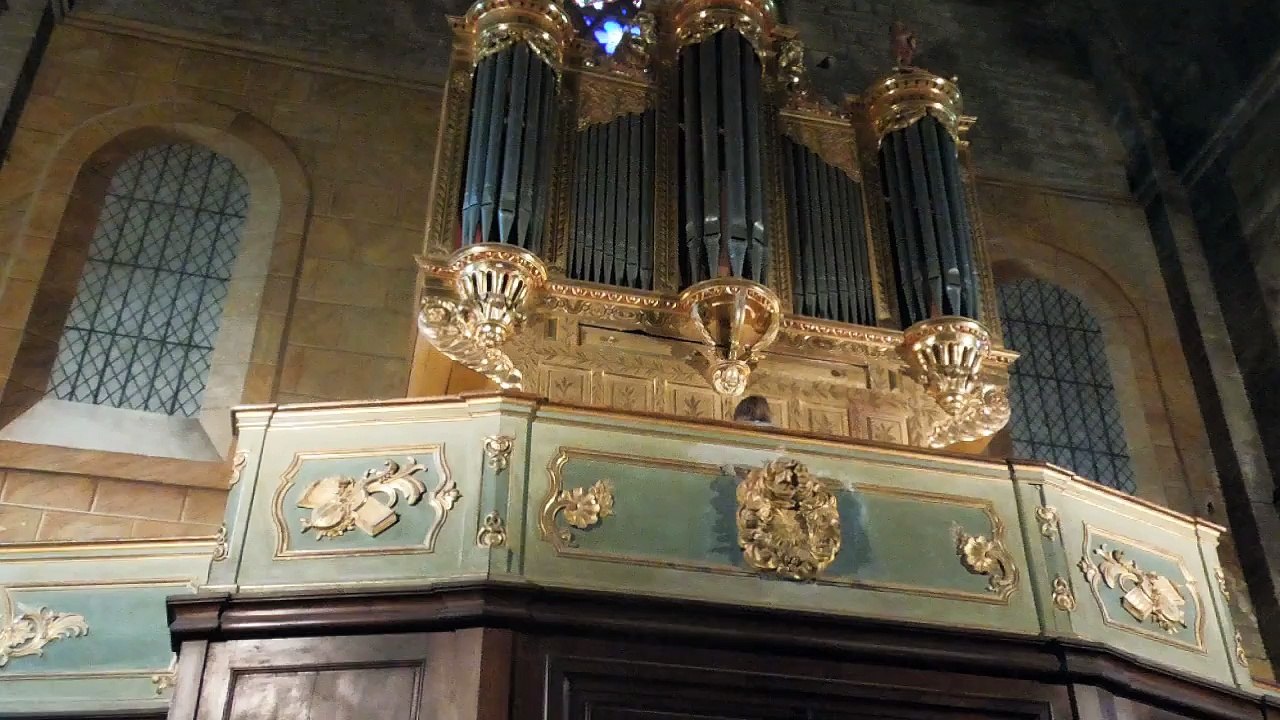 orguerapide