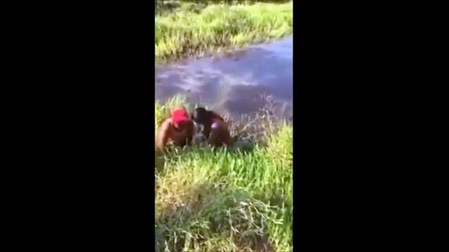 Pêcheur mis ko par un poisson géant