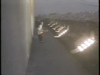 Stray Cats (US Festival 83)