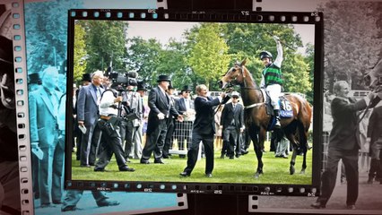 Sean Buckley 5 Special Thoroughbred Horses