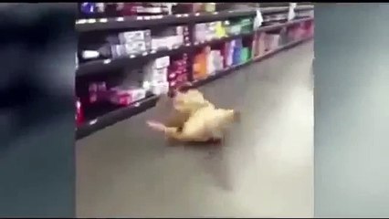 Teen Born With One Arm, No Legs Makes Zombie Prank Vine