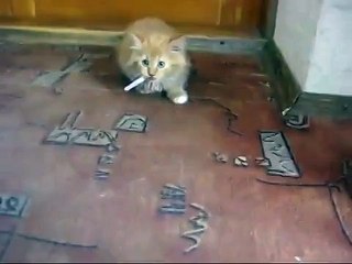 Зависимость как она есть (Dependence as it is)