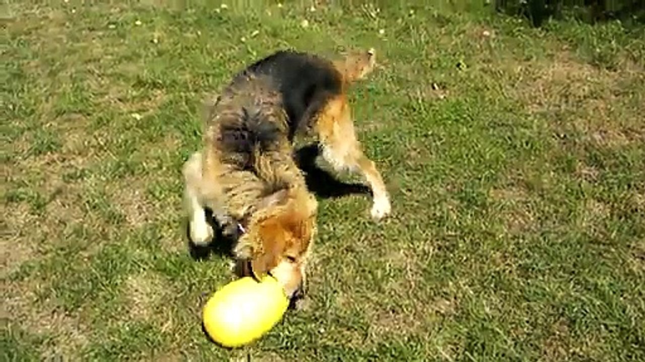 Schweps