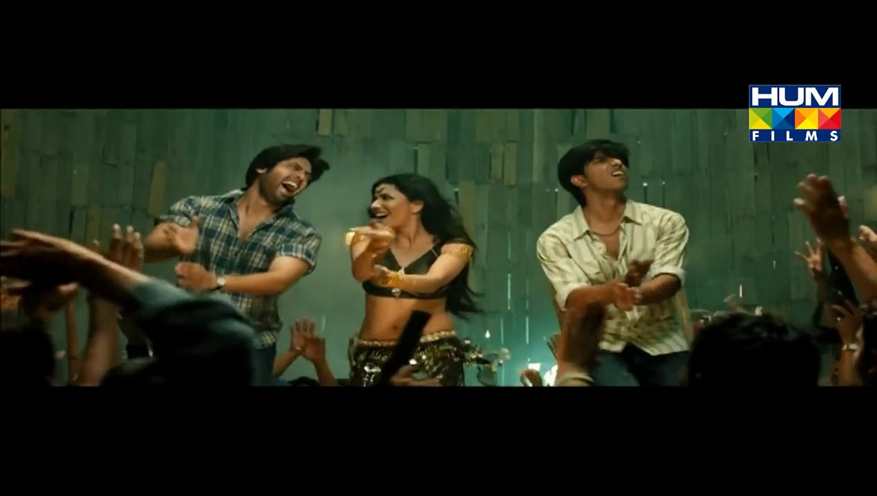 Billi - Full Video Song HD - Na Maloom Afraad ...