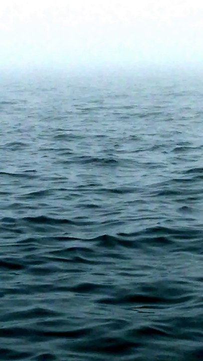 Le saut énorme d'une baleine devant un bateau