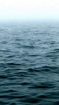 Le saut énorme d'une baleine devant un bateau