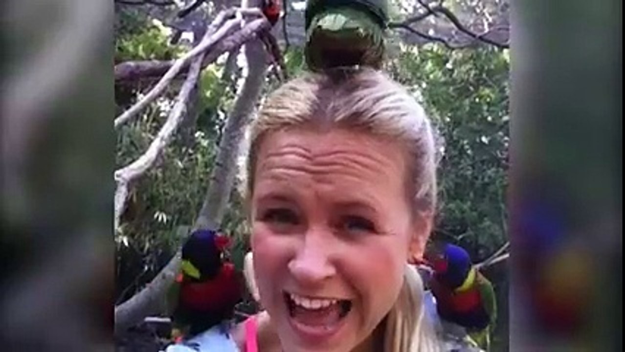 birds love vs people