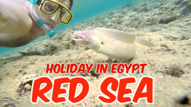 Holiday in Egypt Hurghada Red Sea underwater, Test GoPro HERO4 Video HD #3day