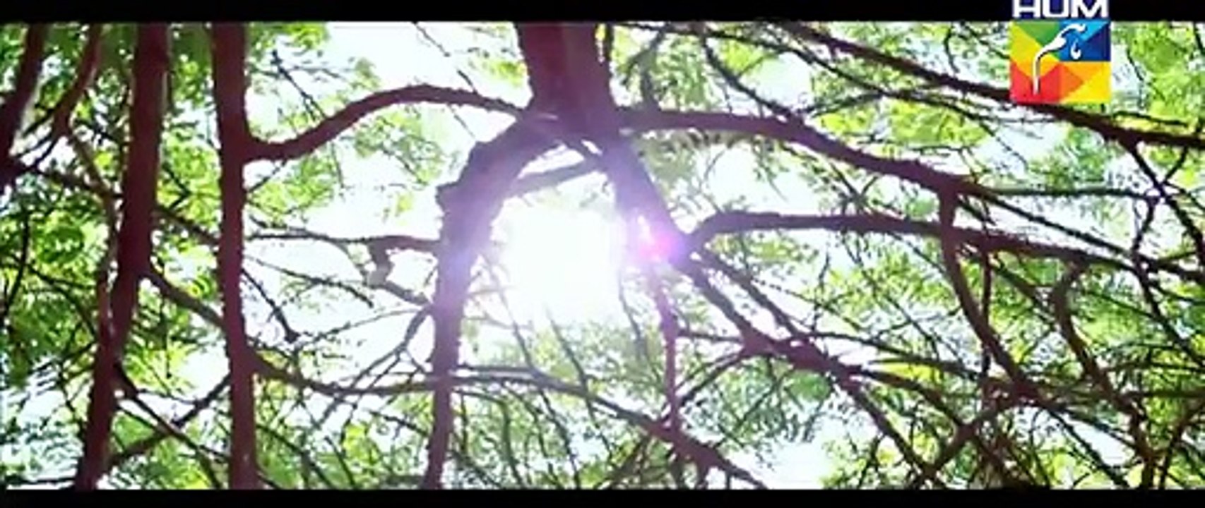 Tumhare Siwa OST HUM TV Drama