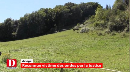 Flash Info - Mercredi 26 août 2015