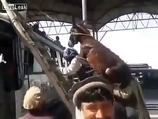 adamın sırtında tasıdıgına bakın essek