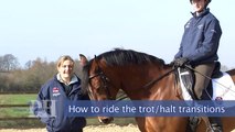 How to ride trot-halt-trot transitions with Anna Ross Davies