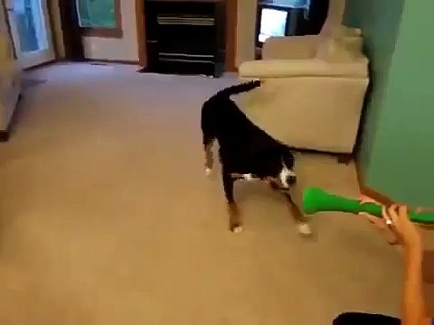 Собачья месть