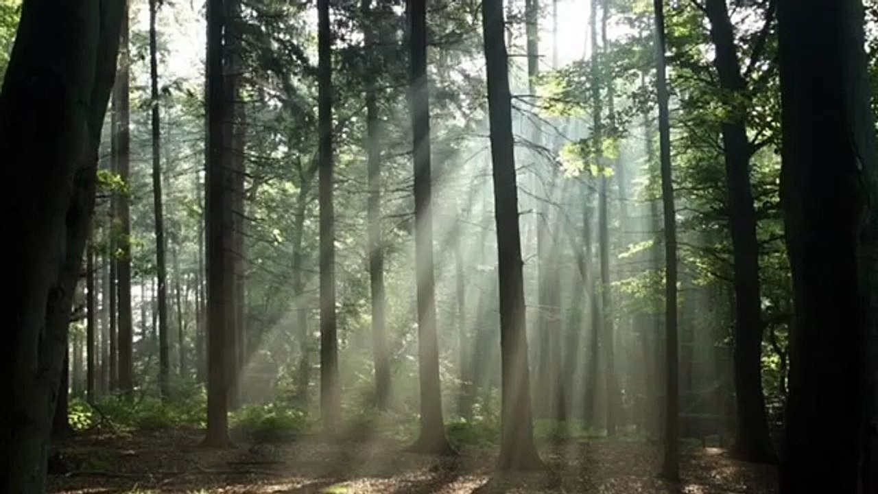 "Under the Bridge" by The Red Hot Chili Peppers