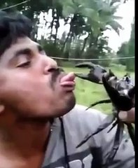 Stupidity At Its Finest