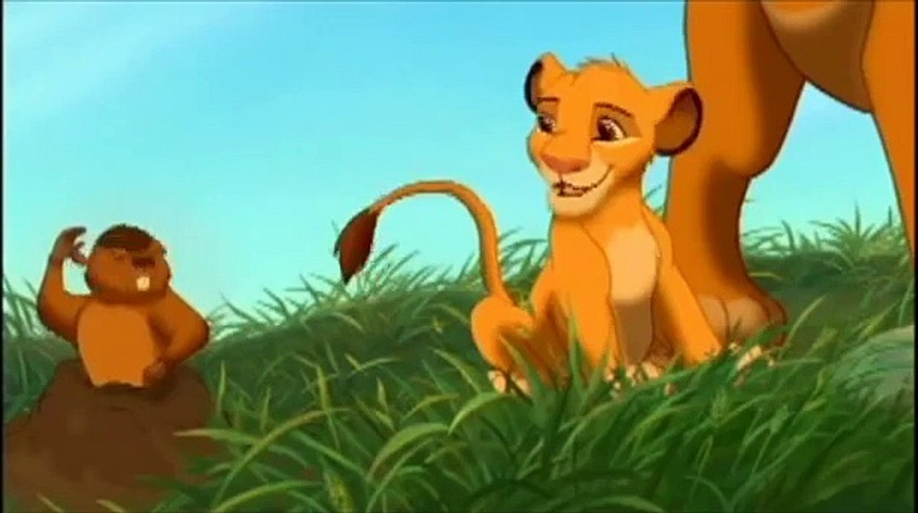 Le roi lion Le rapport du Matin