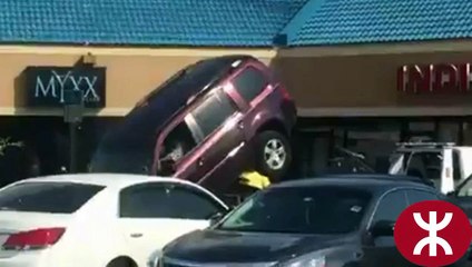 il+tente+de+se+liberer+d+un+camion+de+fourriere