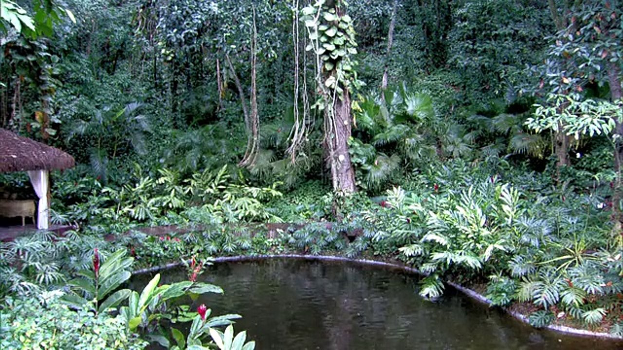 Assistir Programa MAIS VOCÊ Super Chef Celebridades 2015 [TV Globo] 26-08-2015 Parte Única Online Completo