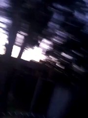 Trampoline tricks!!!