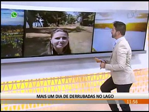MAIS UM DIA DE DERRUBADAS NO LAGO