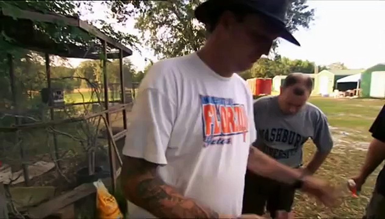 Nat Geo Reptiles Part 2: Ultimate Viper ¦ 480p [2/4]