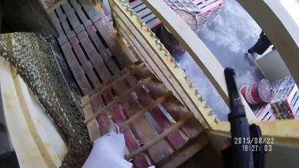 Votre session de paintball B061220815URBA0005