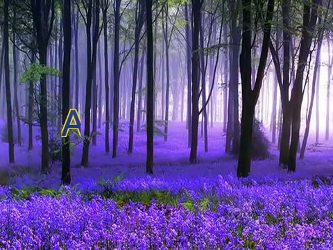 Christian converted to Islam in Norway