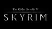 The Elder Scrolls V: Skyrim OST - The White River